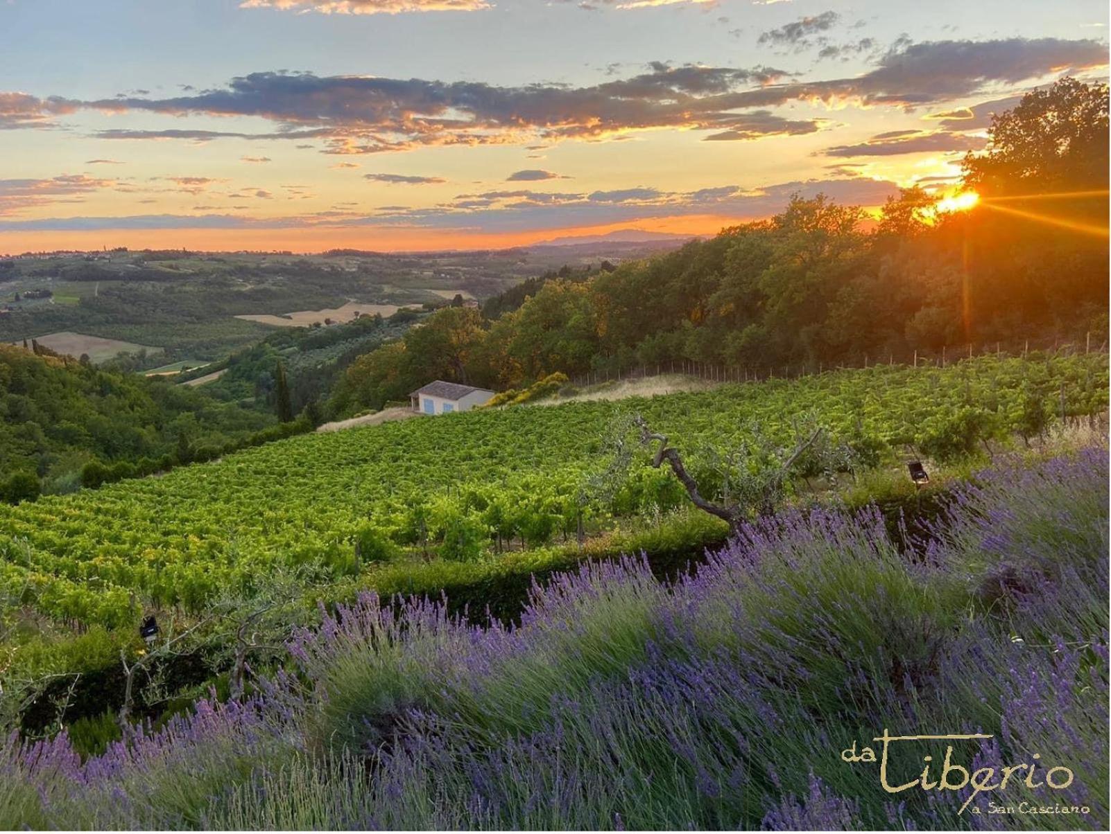 Tenuta Massabo San Casciano in Val di Pesa Eksteriør bilde