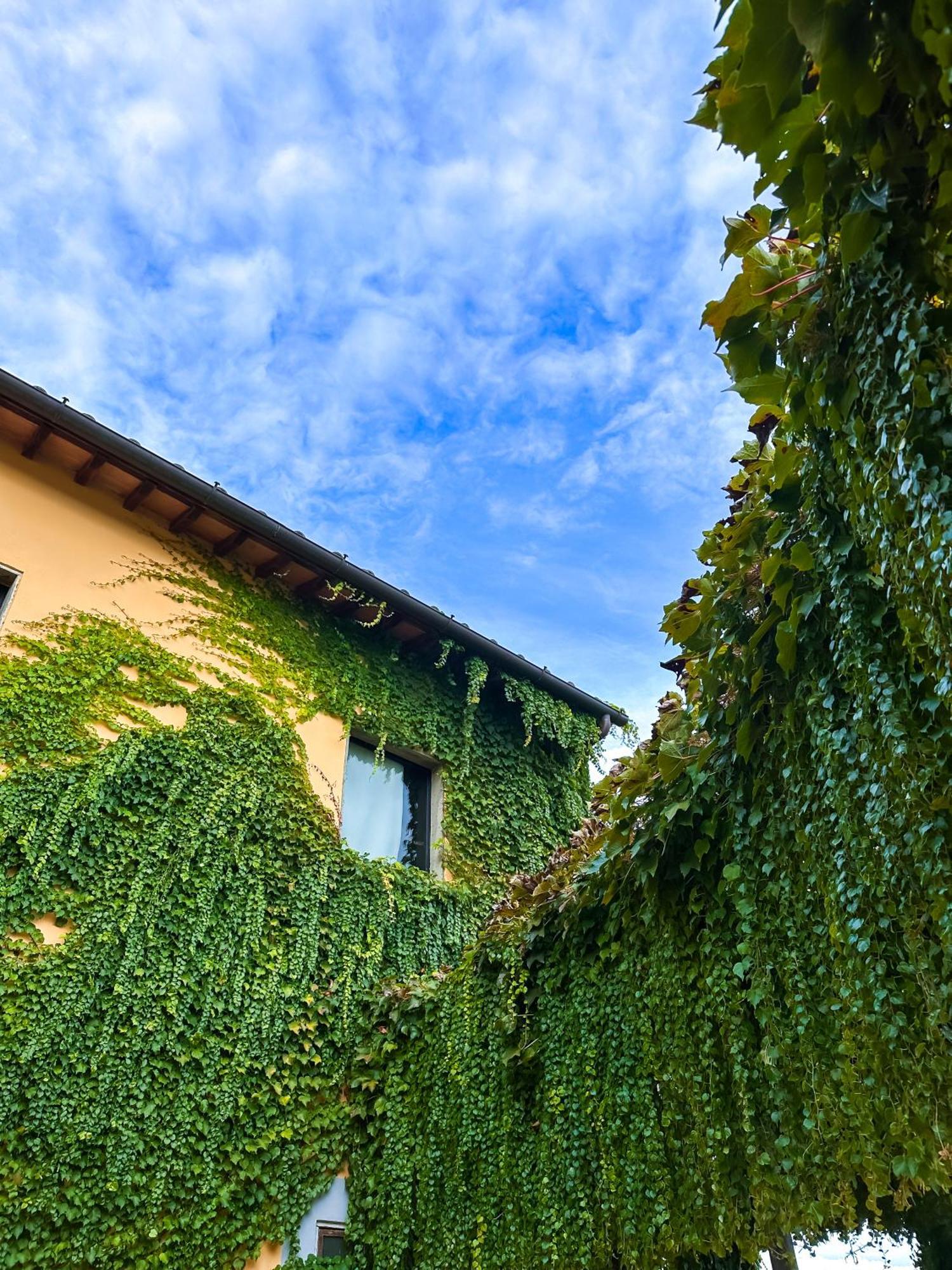 Tenuta Massabo San Casciano in Val di Pesa Eksteriør bilde
